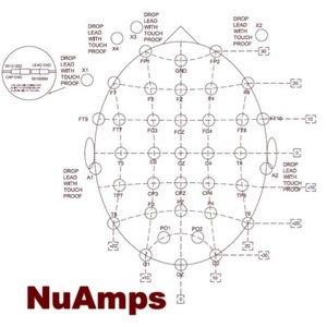 Products Overview – Compumedics Neuroscan